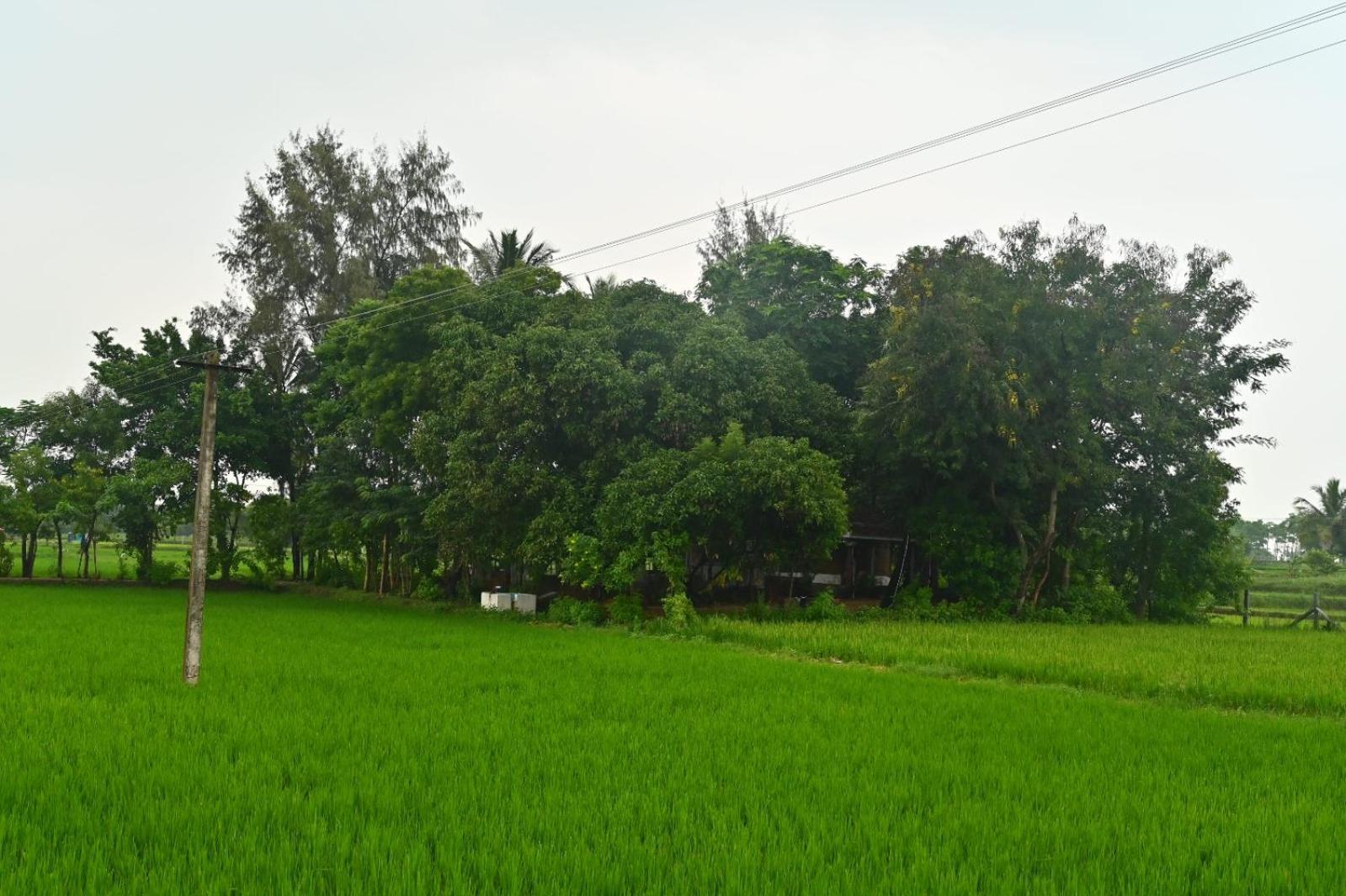 Pathayam Inn Tiruvannamalai Ngoại thất bức ảnh